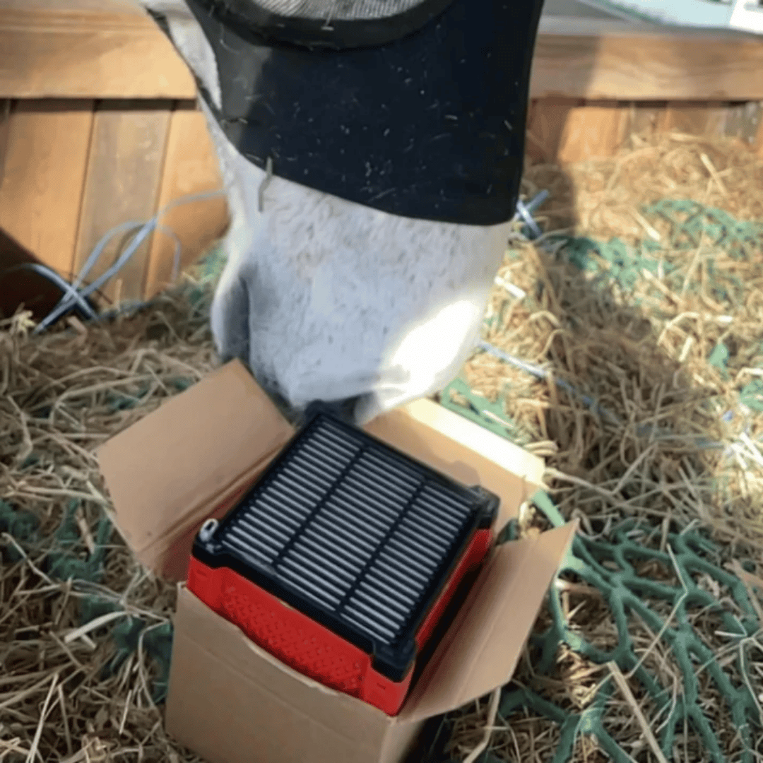 Filterbox - Filtrerar bort virus och bakterier